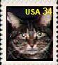 Click here to send e-mail.